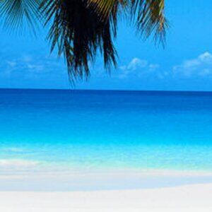 Meet your Posher, Xoey